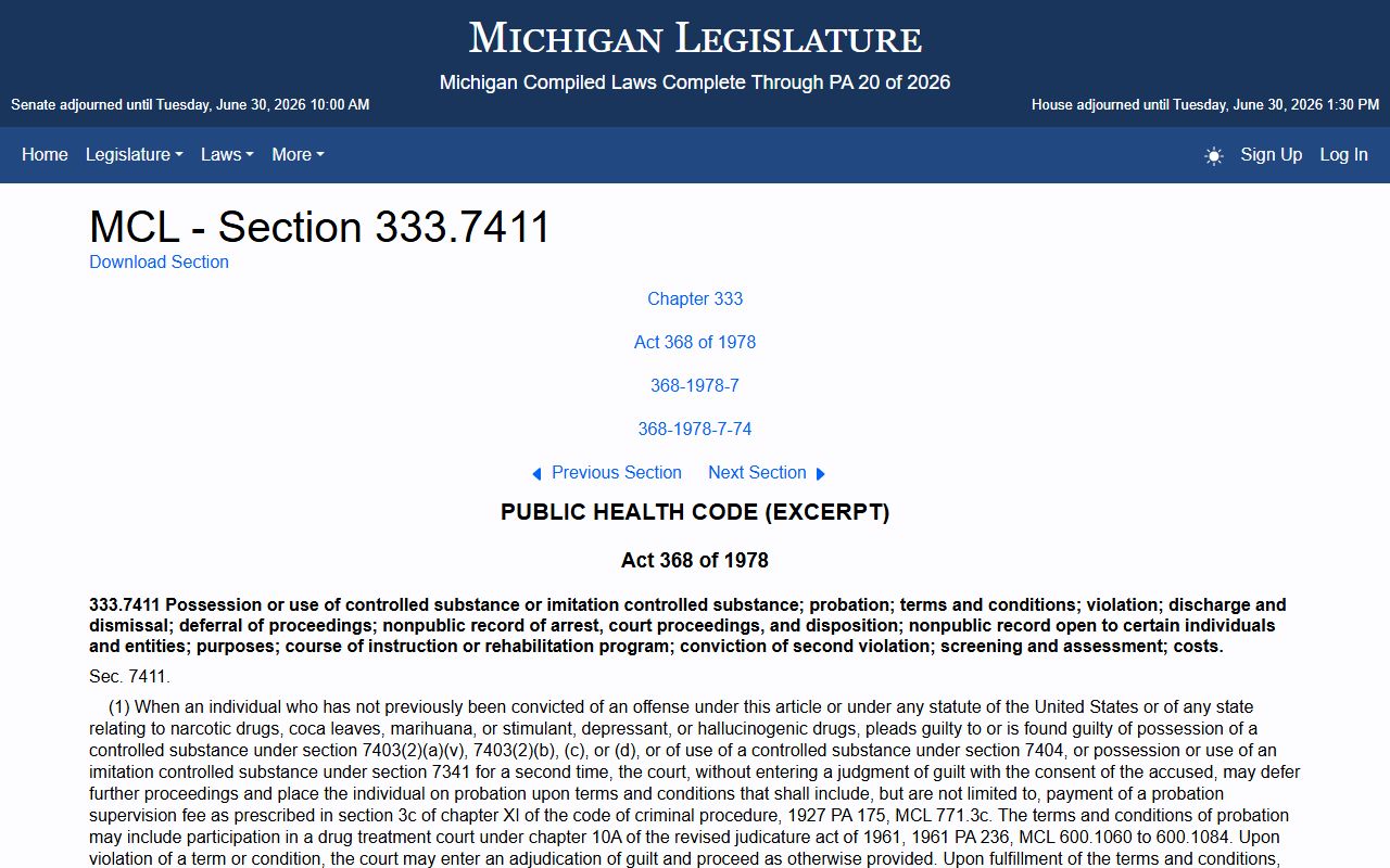 Iosco County criminal court records and Michigan controlled-substance deferral statute